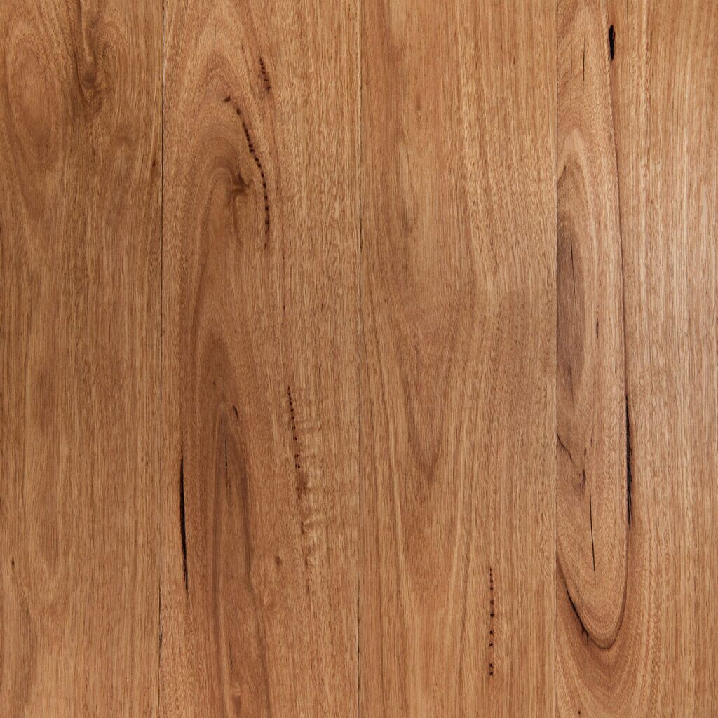 Blackbutt