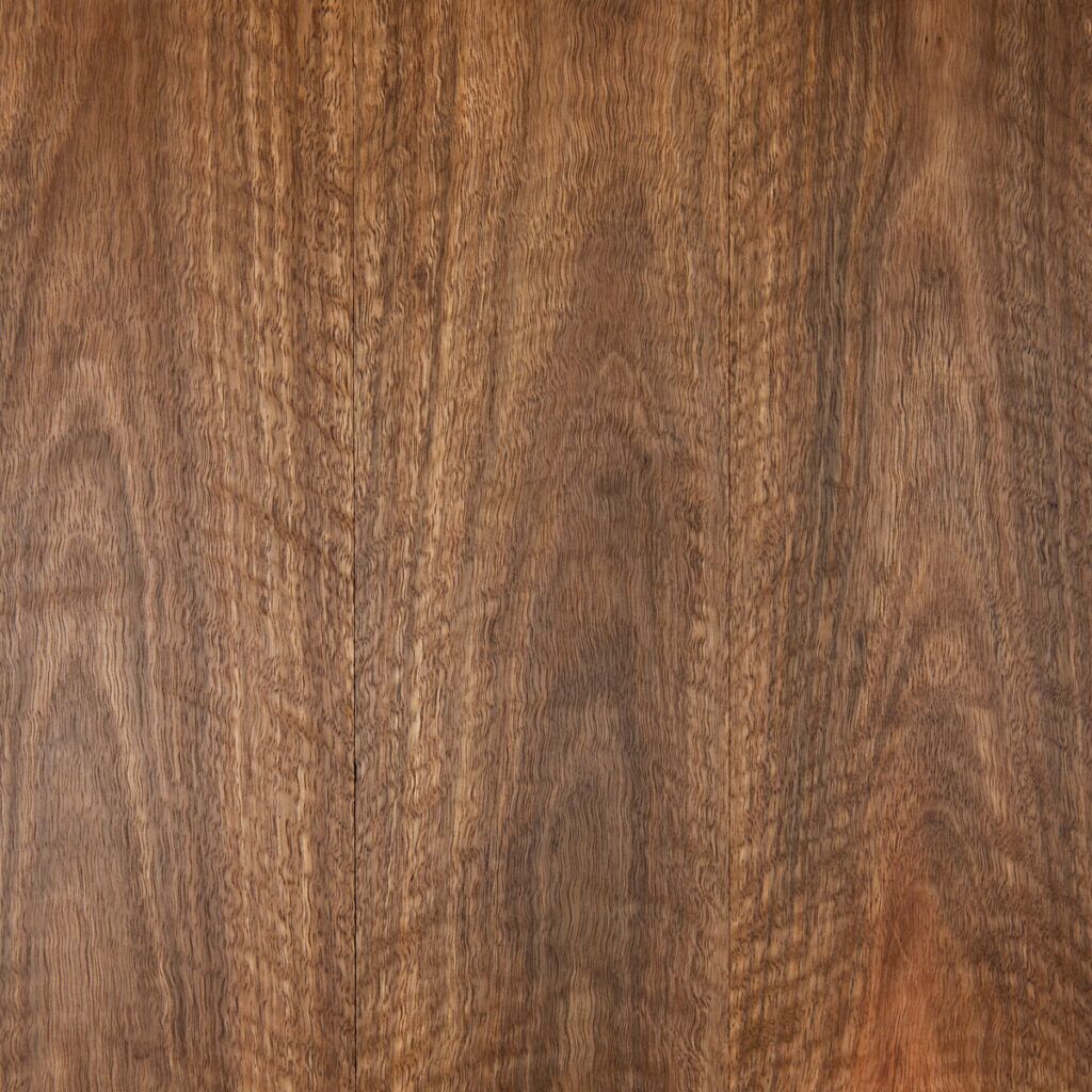 Spotted Gum